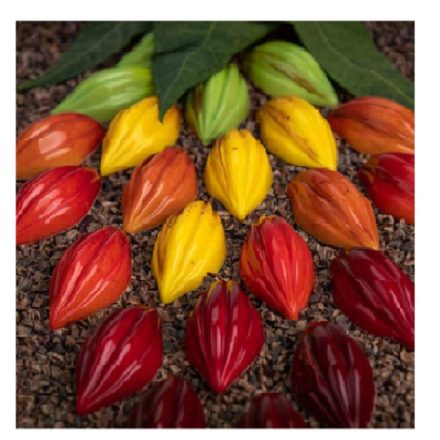 Bonbon csokoládéforma MA1079 polikarbonát