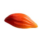 MA1079 bonbon csokoládéforma professzionális használatra