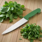 Szakácskés 21 cm zöld nyéllel – HACCP kompatibilis, zöldségekhez és gyümölcsökhöz ideális