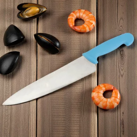 Szakácskés 25 cm penge kék nyéllel – HACCP kompatibilis, halakhoz és tenger gyümölcseihez
