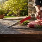 Kerti BBQ / Hentes előkészületek (Fókuszban a piros HACCP nyél és a filézés)
