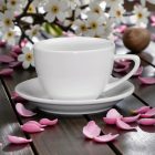 Fine Dining cappuccino csésze 240 ml – kemény porcelán