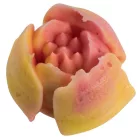 Cukorvirág cső (0004), rozsdamentes