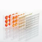 Bonbon félgömb csokoládéforma (MA5001), 275x175 mm, polikarbonát