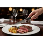 POM nyelű steakkés készlet steakek és grillezett húsok fogyasztásához