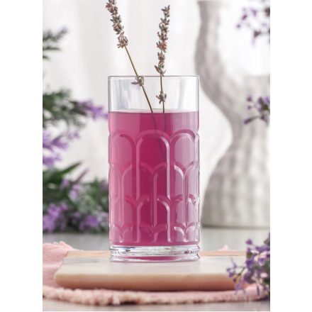 Archie long drinkes pohár 390 ml – Lav üveg, elegáns mintás pohár long drinkekhez és jeges italokhoz