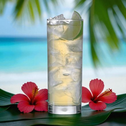 Lav Liberty longdrink pohár 295 ml – 6 darabos csomag, karcsú formájú üveg pohár üdítőkhöz, koktélokhoz és vízhez