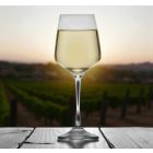 Lal fehérboros kehely 290 ml – Lav minőségű üveg borospohár