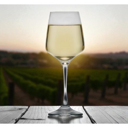 Lal fehérboros kehely 290 ml – Lav minőségű üveg borospohár