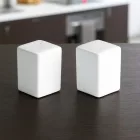 Két darabos porcelán só- és borsszóró készlet