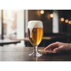 Aspen söröspohár 590 ml-es- 12 db-os csomag - Lav Horeca üveg