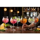 gin tonic koktélok poharakban citrusokkal és jéggel