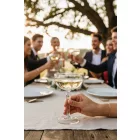 Onis Speakeasy Pezsgős csésze 240 ml-es, 6 db-os csomag, extra tartós üvegből