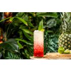 Bamboo koktélos pohár 470 ml, 6 db-os csomag - Onis minőség