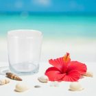 Taska vizespohár 360 ml felülnézetből – Lav üveg, vastag peremmel, egyszerű és időtálló formatervezéssel