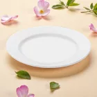 Elegáns főételes porcelán tányér, 24 cm átmérővel