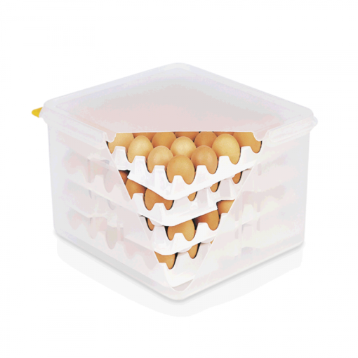 HACCP egg box