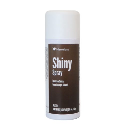 SHINY SPRAY 300 ML